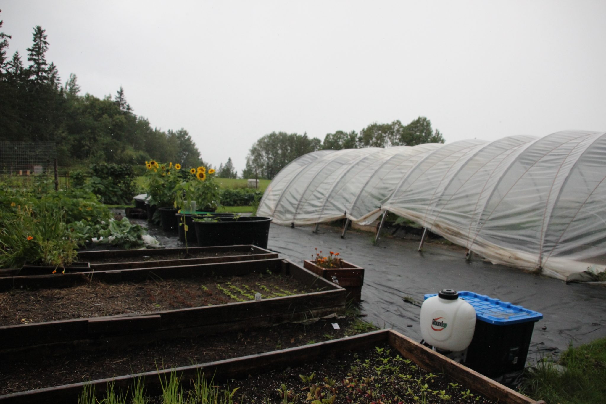 Veteran Farm Project healing through nature and nurture Trident
